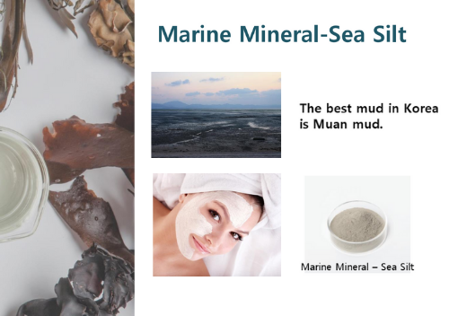 Marine Mineral Sea Silt โคลนทะเลบริสุทธิ์สูง Muan-gun mud อุดมด้วยแร่ธาตุนานาชนิด ช่วยDetoxผิว ขจัดเซลล์เสื่อมสภาพ เผยผิวใหม่ที่กระจ่างสดใส